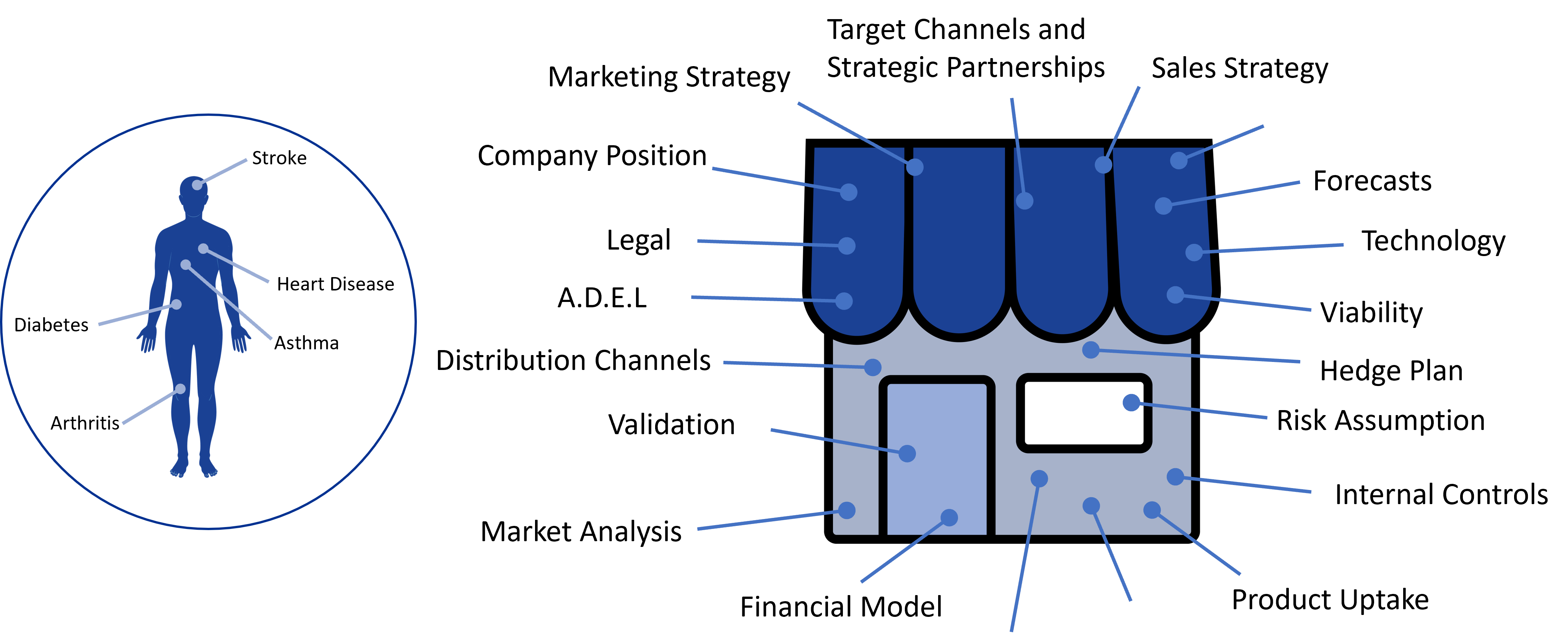 Diagram of how the Business Hospital® coaches and consults our patients